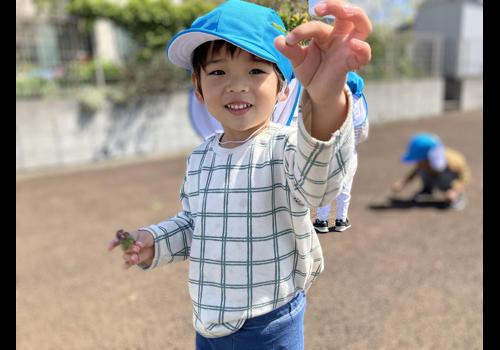 触る